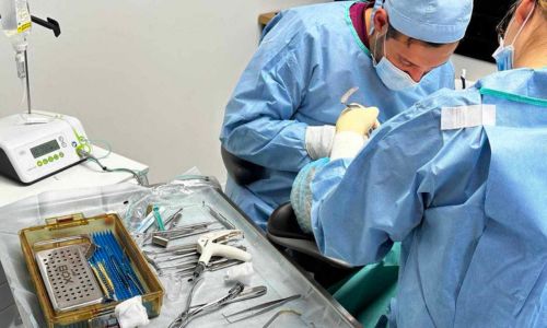 Digital Implant Planning for Dental Professionals